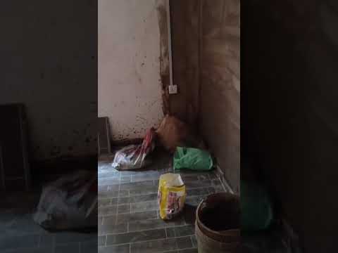 Newly Built Room Self-Contain & Upstairs Shop at Tejuosho, Yaba