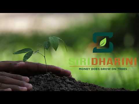 Introducing SiriDharini | #ManagedFarmland - Bengaluru