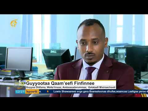 Guyyoota qaammee fi Finfinnee
