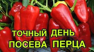 Особенности цвета и вкуса