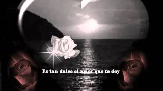 24 Rosas Diana Navarro