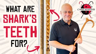 Why Sharks Teeth | Cane Masters