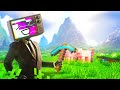 We Started A Minecraft SMP