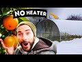 $1000 Greenhouse grows Oranges without heating in snow - Stefano Creatini $1000 Greenhouse grows Oranges without heating in snow