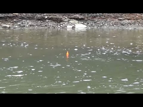 EPIC Spring Steelhead BOBBER DOWNS - Centerpin Fishing