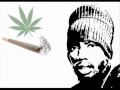 Sizzla   Marijuana
