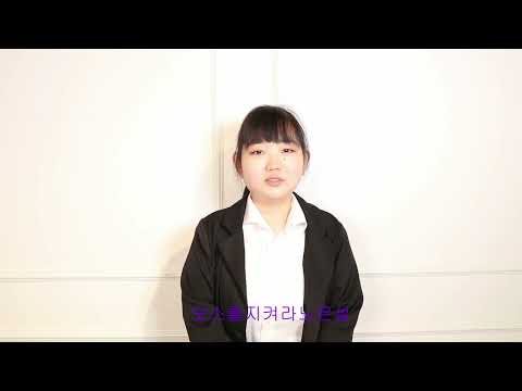 비디오 5