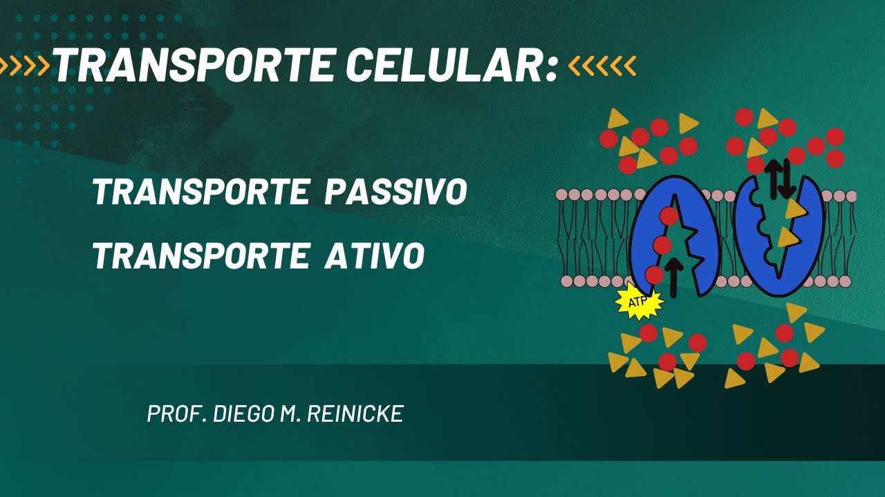 Transporte Passivo e Transporte Ativo: RESUMO | Prof. Diego Reinicke #education #nature #health