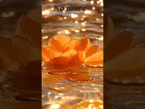 No more #countrymusic #itstartswithasong #music #iwroteasong #fyp