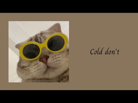 Cold don’t Speed up - Em đã dịu dàng lại còn hay nỡ nụ cười… | Chill Music