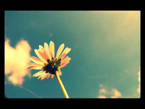 Ronald van Gelderen - This way (Rank 1 remix) [High Contrast Recordings]