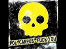 polycarpus - fuck you