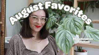 🌿 Top Houseplants for August | My Favorite Indoor Plants This Month 🌿