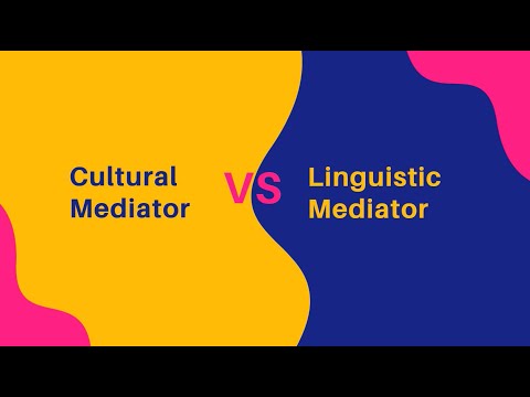 Vocational Guidance to Language Mediation Professions: Linguistic and Cultural Mediator