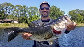 GIANT BASS & BIG NUMBERS in Orlando!!! (Florida Bass Fishing)