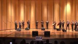 2014 Texas State High School Mariachi Competition University of Texas Part 2