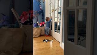 🇺🇸在宅勤務中の旦那に襲撃👶🏻 #アメリカ生活 #アメリカ子育て #ネイティブ英会話 #赤ちゃん