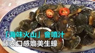 [問卦] 第一個吃藤壺的人怎麼克服恐懼？