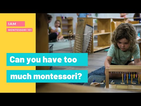 Montessori 101 - Can you have too much montessori?