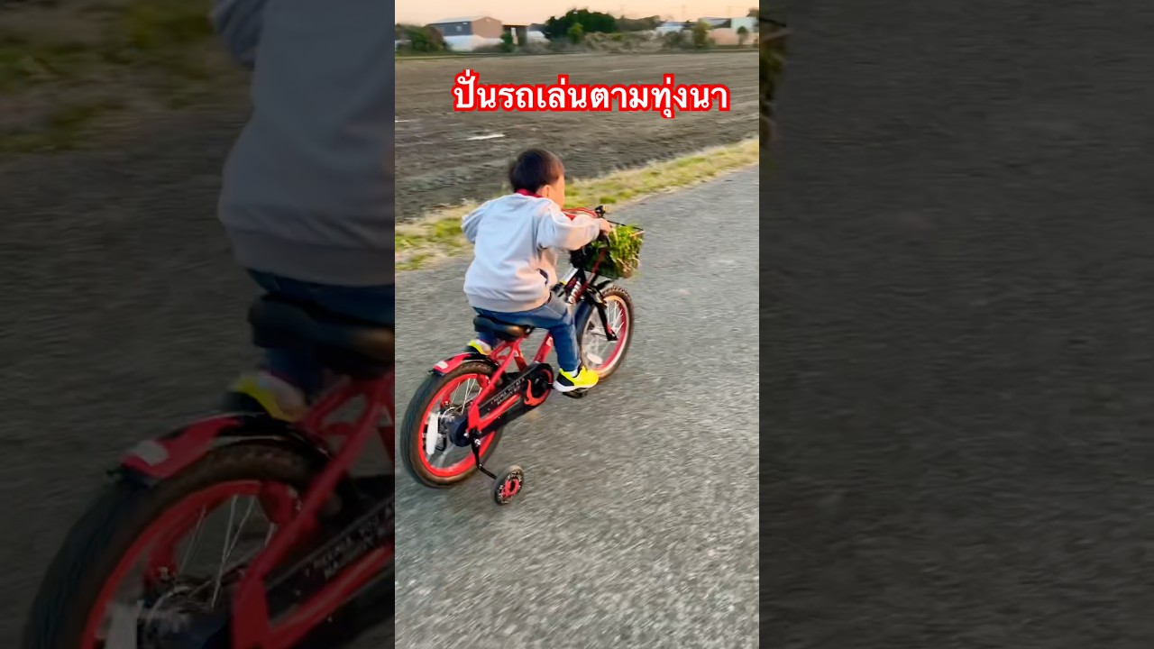 บรรยากาศสุดยอดปั่นรถเล่น #เด็กญี่ปุ่น #wow #น่ารัก