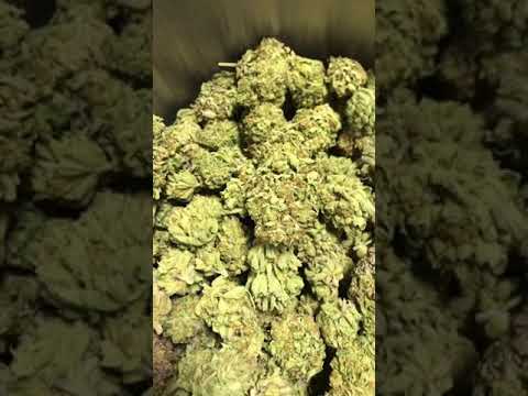 “RED” Josh Heinrichs & SkillinJah Ft Bobby Hustle