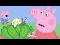 Peppa Pig Peppa S Tiny Creatures Peppa Pig Peppa S Fishy Friends Peppa Pig Peppas Baking Competition