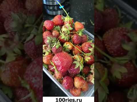 Ольга Гажиенко Инстаграм Сторис 14 июня 2019