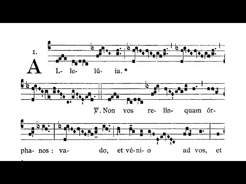 Dominica post Ascensionem (Sunday after the Lords Ascension) - Alleluia secunda (Non vos relinquam)