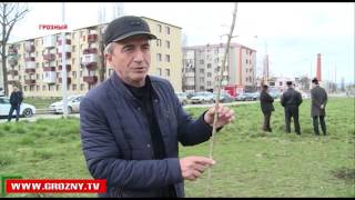 В Чечне продолжается массовый субботник 