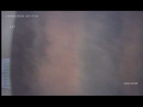 Extracto 237 - Angaco - San Juan