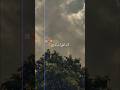Jb Kisi Ki Maa Marti Hai Islamic Status Islamicvideo Islamicstatus Maulanatariqjameel Status