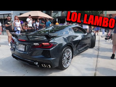 LAMBO OWNER THOUGHT HE WAS COOL...UNTIL A C8 CORVETTE SHOWED UP!!!