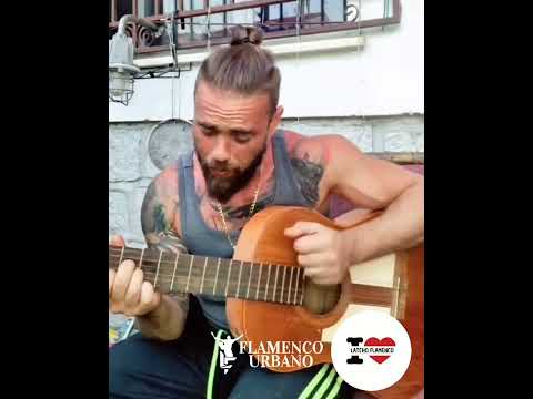 El GATO CHP "Volver a ser Romeo"🙏🏽❤️ de Galvan Real y Maki💯👏