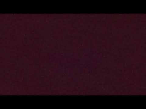 Penguin Hill live camera