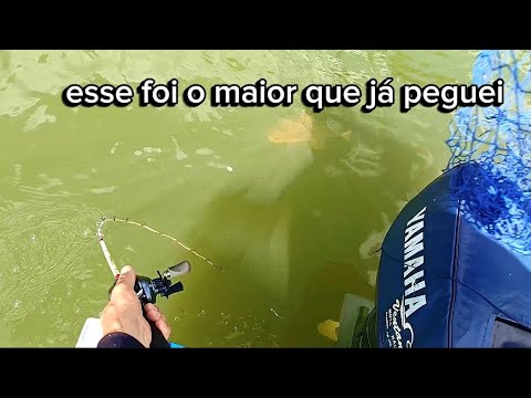 Pescaria de Piaçu gigante no Rio Paraná/ São Jorge do Patrocínio