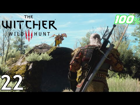 The Witcher 3: Wild Hunt 100% Death March Walkthrough Part 22 - NEW Netflix Nilfgaard Armor