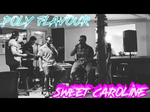 Poly flavour sweet Caroline cover
