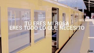 matt walden - yellow rose; español