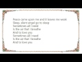 Hank Williams Jr. - The Air That I Breathe Lyrics
