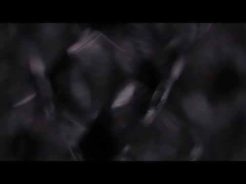 Rey&Kjavik - Monday (Official Video)