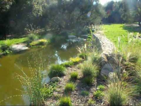 How to build a natural looking pond