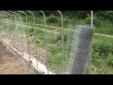 Tips and tricks to installing chicken wire