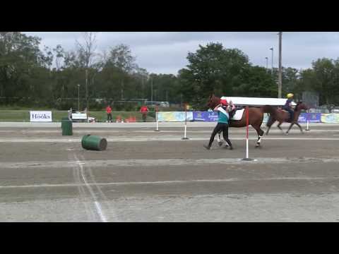 NM 2019 Stavanger 3.  session