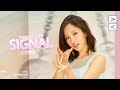 TWICE (트와이스) “SIGNAL” OT7 • Line Distribution (Without Sana + Jeongyeon)