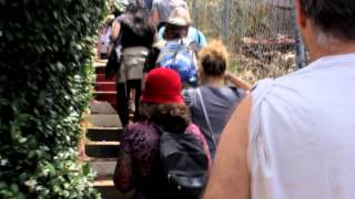 Adventure's With Lili - Secret Walk With Charles Flemming