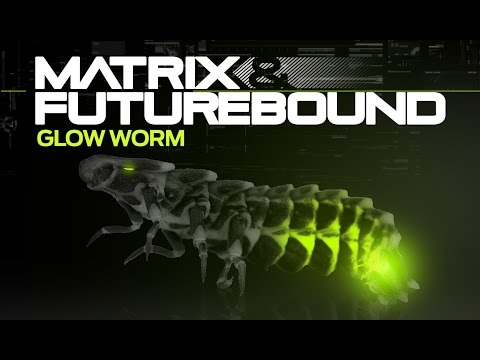 Matrix & Futurebound - Glow Worm