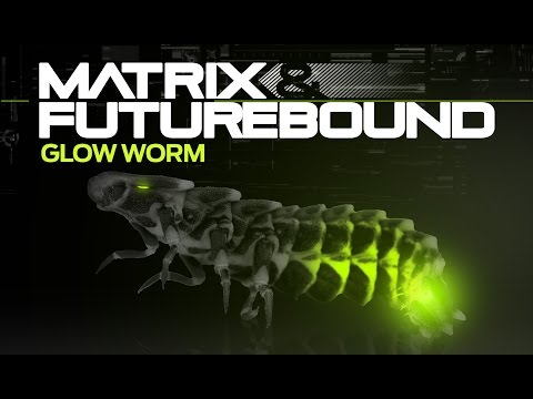 download lagu mp3 mp4 Matrix Futurebound Glow Worm, download lagu Matrix Futurebound Glow Worm gratis, unduh video klip Matrix Futurebound Glow Worm