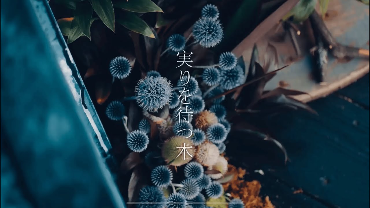 『実りを待つ木』