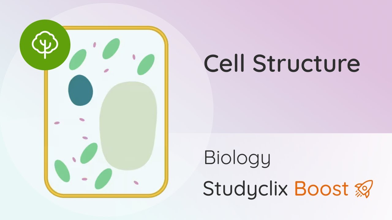Cell Structures and Functions, Cell Structures - Leaving Cert Biology | Studyclix Boost