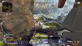 【Apex】今年ラストえぺくす【のんびり】